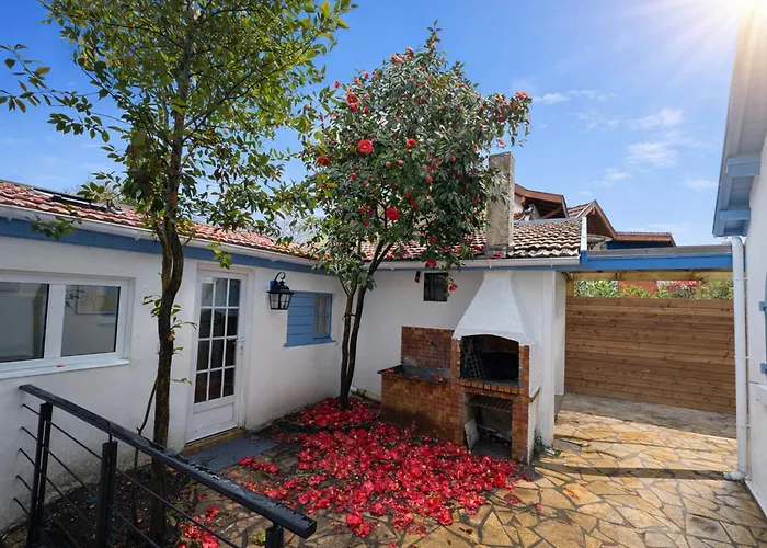 Maison Renovee Arcachon, Jardin & Climatisation - Fr-1-474-292 Villa Arcachon